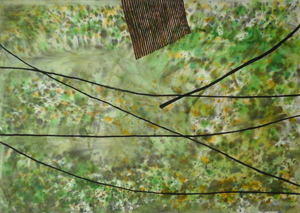 Thumbnail Placeholder